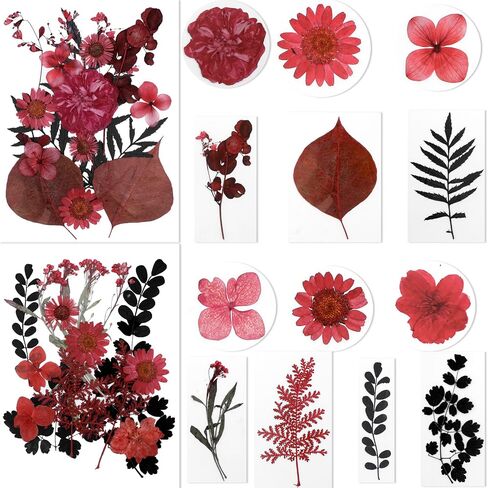 BIHRTC 100pcs Black Pressed Flower Kit Real Natural Assorted Dry Greenery Dried Pressed Leaf for Scrapbooking DIY Candle Accessories Jewelry Crafts Making DIY Art Crafts Cake Deco in Saudi Arabia