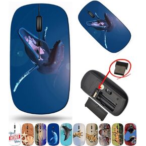 maizi Wireless Mouse for Laptop Mac Computer Personal Laptop, Wireless Mice for Laptop Image ID: 20235535 Dolphin 2.4G Portable with USB Receiver Made in The USA