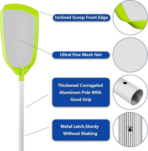 شبكة مقشدة أوراق البليار in Kuwait