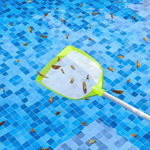 شبكة مقشدة أوراق البليار in Kuwait