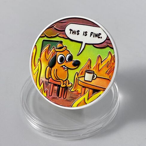 10Pcs Cartoon Style Dumpster Fire Coin, Dumpster Fire Challenge Coin - Funny Office Desk Accessories - Novelty Coins Pocket Token - Inspirational Office Gifts for Men Women in Kuwait