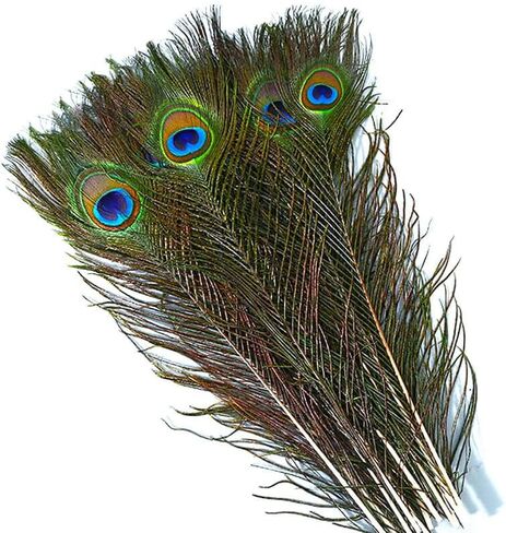 Piokio 50 pcs Peacock Feathers in Bulk 10-12 inch(25-30 cm) Bulk for DIY Craft, Wedding, Mardi Gras Decoration in Kuwait