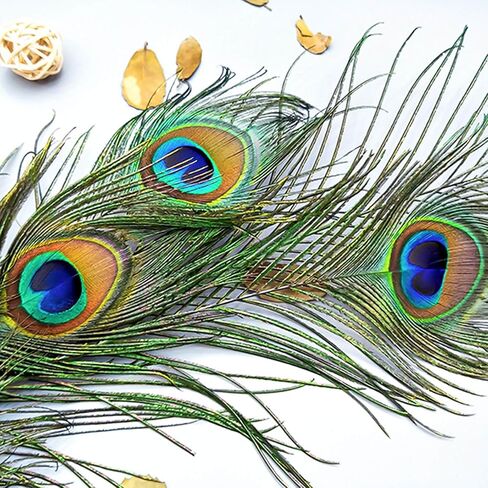 Piokio 50 pcs Peacock Feathers in Bulk 10-12 inch(25-30 cm) Bulk for DIY Craft, Wedding, Mardi Gras Decoration in Kuwait