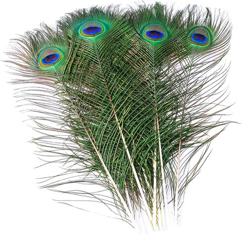 Piokio 50 pcs Peacock Feathers in Bulk 10-12 inch(25-30 cm) Bulk for DIY Craft, Wedding, Mardi Gras Decoration in Kuwait