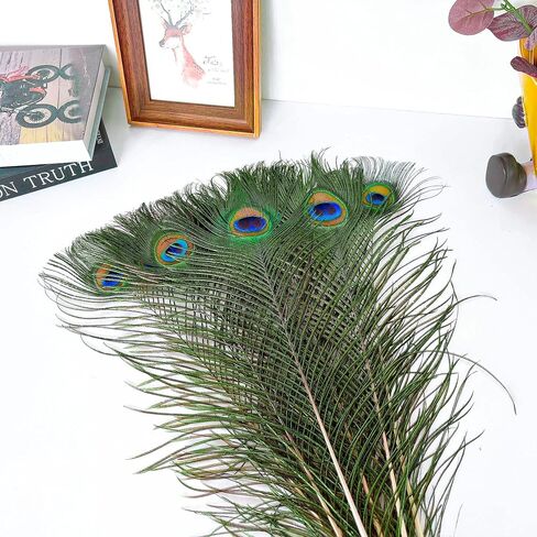 Piokio 50 pcs Peacock Feathers in Bulk 10-12 inch(25-30 cm) Bulk for DIY Craft, Wedding, Mardi Gras Decoration in Kuwait