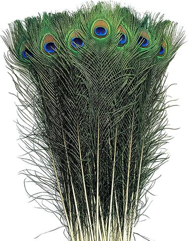 Piokio 50 pcs Peacock Feathers in Bulk 10-12 inch(25-30 cm) Bulk for DIY Craft, Wedding, Mardi Gras Decoration in Kuwait