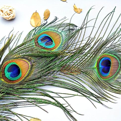 Piokio 50 pcs Peacock Feathers in Bulk 10-12 inch(25-30 cm) Bulk for DIY Craft, Wedding, Mardi Gras Decoration in Kuwait