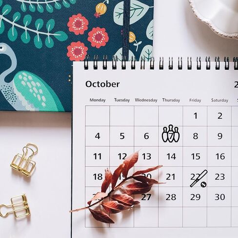 CHGCRAFT Weather Clear Stamps Transparent Silicone Stamp Mini Weather Silicone Seals Stamp for Calendar Planner Decoration and DIY Scrapbooking 6.3 x 4.3inch in Kuwait