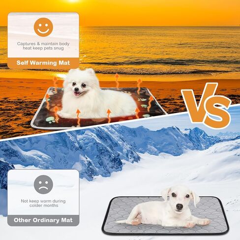 2 Pack Self Warming Cat Bed Self Heating Dog Pad Cat Warming Pad Thermal Pet Mat Washable Reflect Body Heat Removable Cover for Indoor Outdoor Feral Pet(Large Star,16 x 20 Inch) in Kuwait