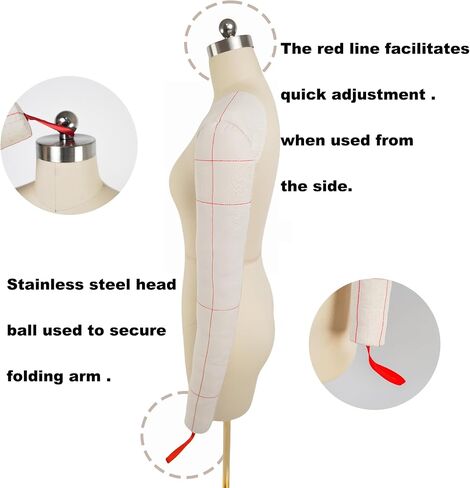 Female Dress Model Torso Body Clothing Forms,Size 12 Professional Dress Form for Display and Tailor DesignSewing Mannequin Foam Body for Pinning. (with Arms Beige, 12) in Kuwait