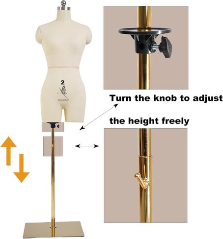 Female Dress Model Torso Body Clothing Forms,Size 12 Professional Dress Form for Display and Tailor DesignSewing Mannequin Foam Body for Pinning. (with Arms Beige, 12) in Kuwait