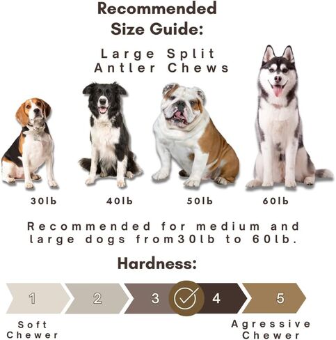 Whitetail Naturals - قرون الغزلان السائبة للكلاب (حزمة 1 رطل) مضغ قرن الوعل - عظام الكلاب الطويلة التي تدوم لفترة طويلة للمضغات العدوانية. in Kuwait