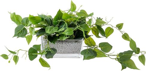 MyGift Vibrant Lifelike Artificial Plant Begonia Leafy Vine Greenery in Brown Wood Rectangular Planter Box in Saudi Arabia