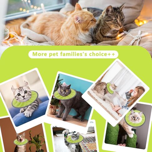 Lightweight Cat Cone Collar Soft, Soft Comfortable Cat Recovery Collar After Surgery, Elizabethan E Collar for Cats, Cone for Cats to Stop Licking (Pale Pink, Small) in Kuwait