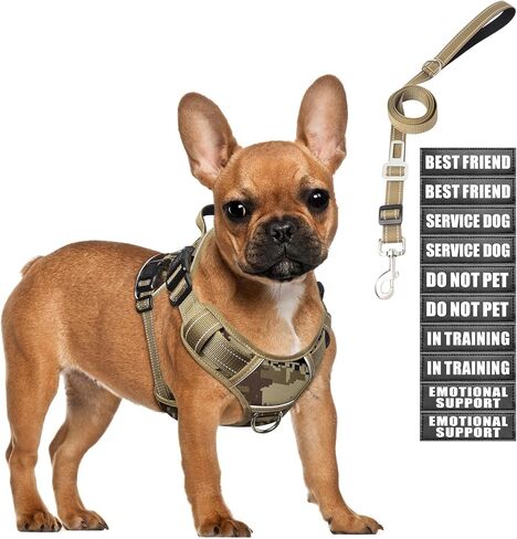 Tactical Dog Harness and Leash Set for Large Dogs,Heavy Duty No Pull Service Dog Vest and 10 Patches with Dog Seat Belt,Reflective Adjustable Pet Harness for Training Walking Hiking Camo L in Kuwait