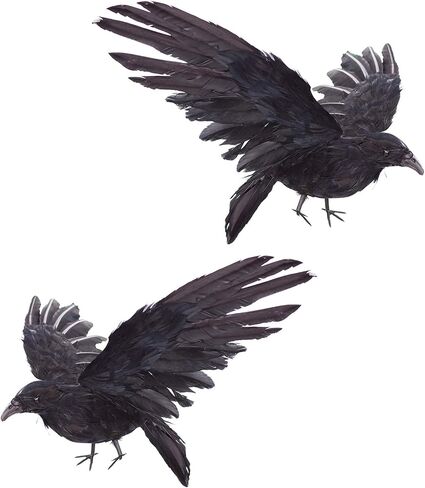 2-Pack Realistic Crows Lifesize Extra Large Handmade Black Feathered Crow for Halloween Decorations Birds, L (13 inch+12 inch) in Kuwait