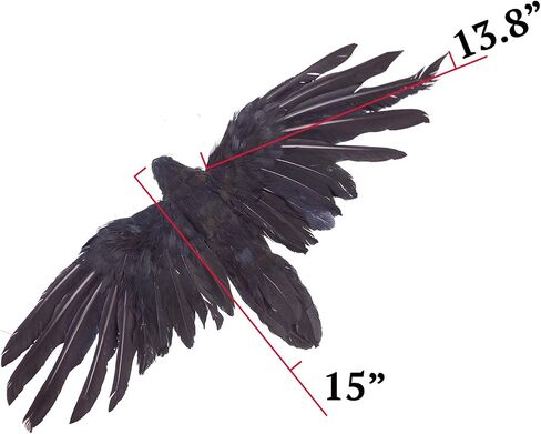 2-Pack Realistic Crows Lifesize Extra Large Handmade Black Feathered Crow for Halloween Decorations Birds, L (13 inch+12 inch) in Kuwait