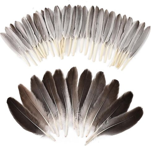 iHUFeather 270pcs Black Goose Feathers for Crafts 2 Styles 4-7 inch Bulk Natural Feathers for DIY Cosplay Wedding Party Halloween Decoration in Kuwait