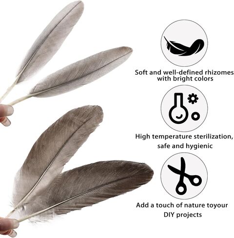 iHUFeather 270pcs Black Goose Feathers for Crafts 2 Styles 4-7 inch Bulk Natural Feathers for DIY Cosplay Wedding Party Halloween Decoration in Kuwait