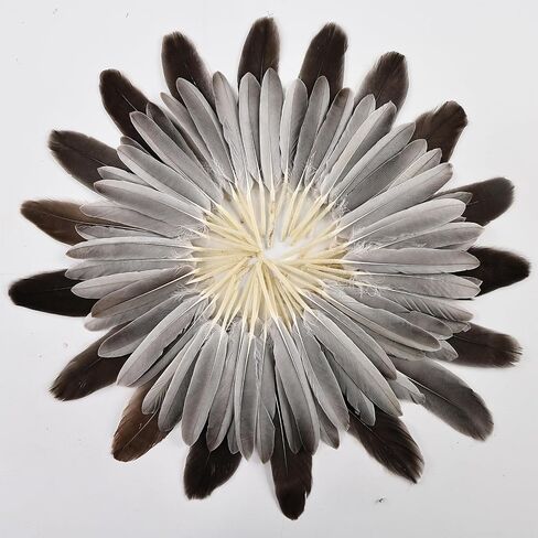 iHUFeather 270pcs Black Goose Feathers for Crafts 2 Styles 4-7 inch Bulk Natural Feathers for DIY Cosplay Wedding Party Halloween Decoration in Kuwait