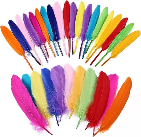 iHUFeather 270pcs Black Goose Feathers for Crafts 2 Styles 4-7 inch Bulk Natural Feathers for DIY Cosplay Wedding Party Halloween Decoration in Kuwait