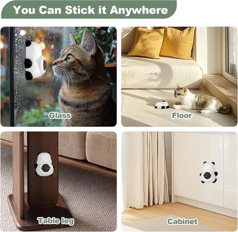 كرات Cat Nip Ball Catnip لألعاب Cat nip للقطط الداخلية كرات النعناع البسيطة التي تلتصق على الحائط 5 قطعة (3 كرات من النعناع البري ، 2 كرات المرارة) مع كراتين Catnip بديلين كحاضرين in Saudi Arabia