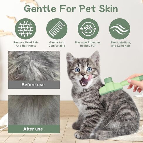 كرات Cat Nip Ball Catnip لألعاب Cat nip للقطط الداخلية كرات النعناع البسيطة التي تلتصق على الحائط 5 قطعة (3 كرات من النعناع البري ، 2 كرات المرارة) مع كراتين Catnip بديلين كحاضرين in Saudi Arabia