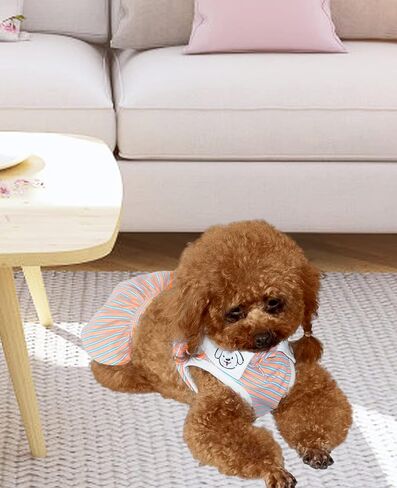 تنورة الكلاب ، فستان رياضة جرو ، ملابس الحيوانات الأليفة في صيف athleisure للكلاب الصغيرة المتوسطة ، ملابس الكلاب القابلة للتعديل مع أزرار ، ملابس القط (بيضاء الخنصر ، كبيرة ، 2 قطعة) in Kuwait