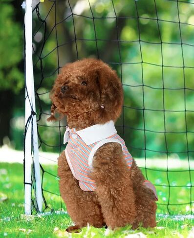 تنورة الكلاب ، فستان رياضة جرو ، ملابس الحيوانات الأليفة في صيف athleisure للكلاب الصغيرة المتوسطة ، ملابس الكلاب القابلة للتعديل مع أزرار ، ملابس القط (بيضاء الخنصر ، كبيرة ، 2 قطعة) in Kuwait