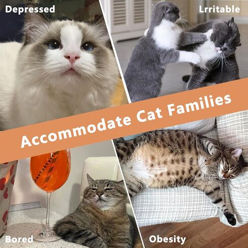 ألعاب Catnip 5pcs ، ألعاب القطة المضحكة ، ألعاب القط المقاومة للدغة ، ألعاب القط الكرتونية الداخلية للقط ، ألعاب القط in Kuwait