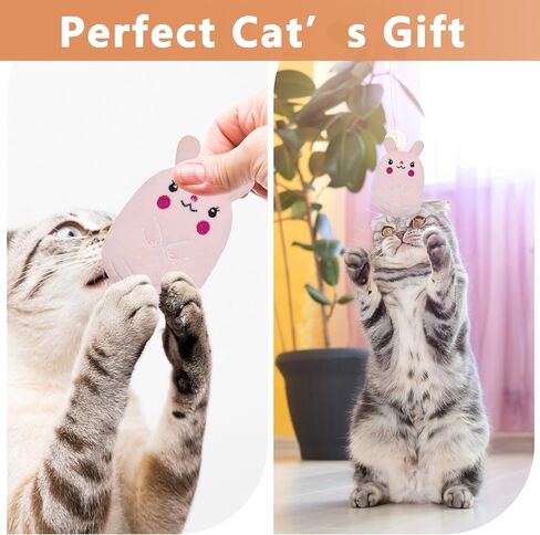 ألعاب Catnip 5pcs ، ألعاب القطة المضحكة ، ألعاب القط المقاومة للدغة ، ألعاب القط الكرتونية الداخلية للقط ، ألعاب القط in Kuwait