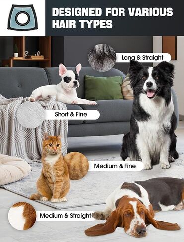 Dog Hair Remover for Car, Pet Hair Removal Tool Mini Reusable, Cat Hair Remover Furniture Dog Hair Remover for Couch Lint Carpet Clothing Bedding Fur Remover Car Detailing Supplies Black in Kuwait