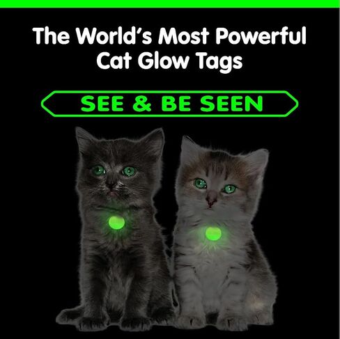GLO-X Dog Collar Glow Tag - 2 x Glow in The Dark Dog Collar Glow Tags to Keep Your Dogs Safe at Night - 12+ Hours Glow Time - Charges in Daylight - No Batteries Required - Cool Dog Accessories Gift in Kuwait