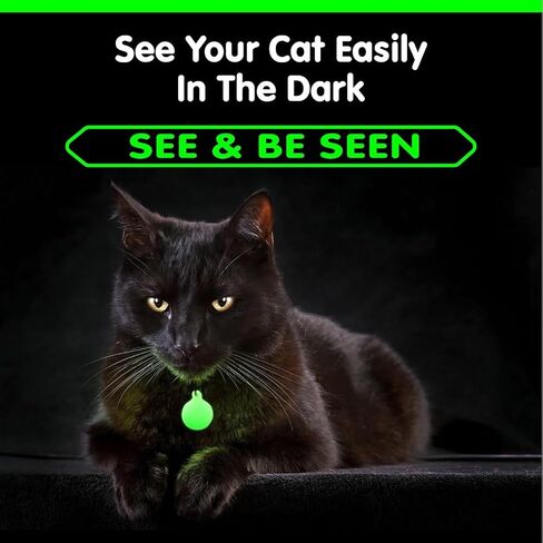 GLO-X Dog Collar Glow Tag - 2 x Glow in The Dark Dog Collar Glow Tags to Keep Your Dogs Safe at Night - 12+ Hours Glow Time - Charges in Daylight - No Batteries Required - Cool Dog Accessories Gift in Kuwait