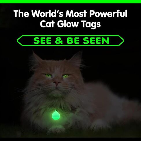 GLO-X Dog Collar Glow Tag - 2 x Glow in The Dark Dog Collar Glow Tags to Keep Your Dogs Safe at Night - 12+ Hours Glow Time - Charges in Daylight - No Batteries Required - Cool Dog Accessories Gift in Kuwait