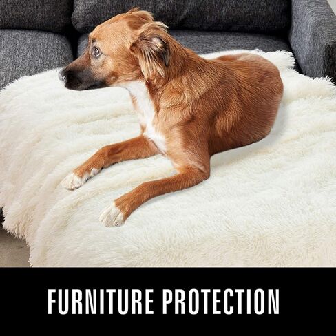 LOCHAS Luxury Fluffy Dog Blanket, Extra Soft and Warm Sherpa Fleece Pet Blankets for Dogs Cats, Plush Furry Faux Fur Puppy Throw Cover, 20''x30'' Cream White in Kuwait