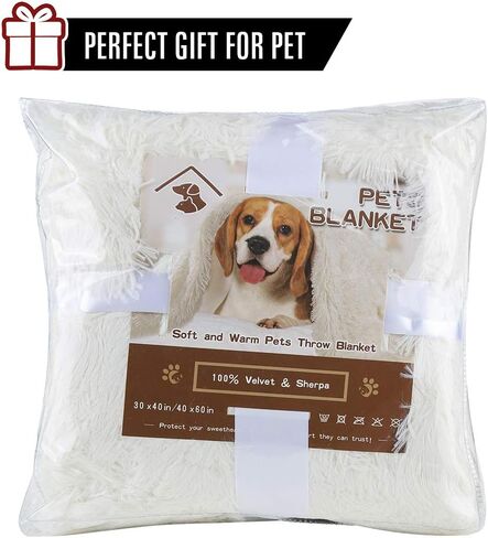 LOCHAS Luxury Fluffy Dog Blanket, Extra Soft and Warm Sherpa Fleece Pet Blankets for Dogs Cats, Plush Furry Faux Fur Puppy Throw Cover, 20''x30'' Cream White in Kuwait