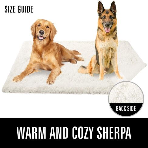 LOCHAS Luxury Fluffy Dog Blanket, Extra Soft and Warm Sherpa Fleece Pet Blankets for Dogs Cats, Plush Furry Faux Fur Puppy Throw Cover, 20''x30'' Cream White in Kuwait