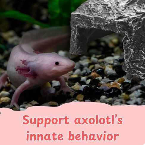 Axolotl Tank Accessories, Aquarium Tortoise Hideout, Axolotl Hides and Fake Water Plants set, Axolotl Cave Aquarium Plastic Tree, Turtle Hideout, Fish Tank Decor, Turtle Tank Accessories (Stone, M) in Kuwait
