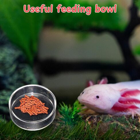 Axolotl Tank Accessories, Aquarium Tortoise Hideout, Axolotl Hides and Fake Water Plants set, Axolotl Cave Aquarium Plastic Tree, Turtle Hideout, Fish Tank Decor, Turtle Tank Accessories (Stone, M) in Kuwait