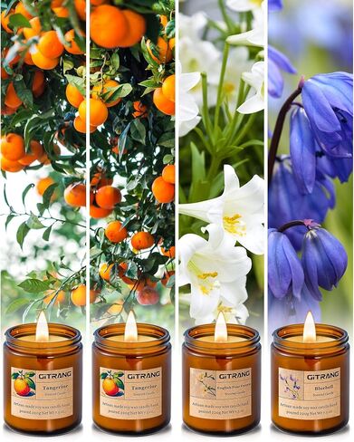 Aromatherapy Candles for Bedrooms Yoga Rooms Lounges Gardens Birthday Valentine and Anniversary, 30 oz 200 Hour Home Candle Set, Apple/Rose Sandalwood/BlackBerry Basil Scented Candle Set, Pack of 4 in Saudi Arabia