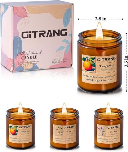 Aromatherapy Candles for Bedrooms Yoga Rooms Lounges Gardens Birthday Valentine and Anniversary, 30 oz 200 Hour Home Candle Set, Apple/Rose Sandalwood/BlackBerry Basil Scented Candle Set, Pack of 4 in Saudi Arabia