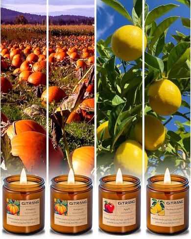 Aromatherapy Candles for Bedrooms Yoga Rooms Lounges Gardens Birthday Valentine and Anniversary, 30 oz 200 Hour Home Candle Set, Apple/Rose Sandalwood/BlackBerry Basil Scented Candle Set, Pack of 4 in Saudi Arabia