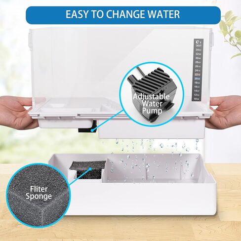 BETAZOOER Turtle Tank with Adjustable Water Pump Filter, Full View Visually Tortoise Aquarium Habitat, Glass Material Easy Changing Water&Clean for Small Amphibious Creatures Reptiles 15.7"×11.8"×10" in Kuwait