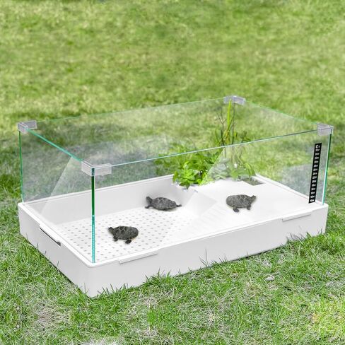 BETAZOOER Turtle Tank with Adjustable Water Pump Filter, Full View Visually Tortoise Aquarium Habitat, Glass Material Easy Changing Water&Clean for Small Amphibious Creatures Reptiles 15.7"×11.8"×10" in Kuwait