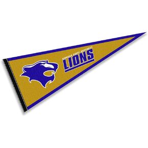 شركة College Flags & Banners Co. جورجيان كورت ليونز بينانت