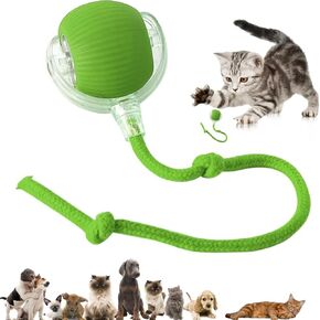 Interactive Cat/Interactive Dog Ball Toy, Pet's Toys for Indoor Cats/Dogs,Cat Rotating Ball Toy,Automatic Moving pet's Balls,360°Automatic Rolling Ball,Electric/Rechargeable,Motion activiated (Green)