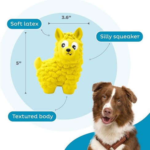 Outward Hound Latex-Free Big Squeak Hedgehog Dog Toy in Kuwait