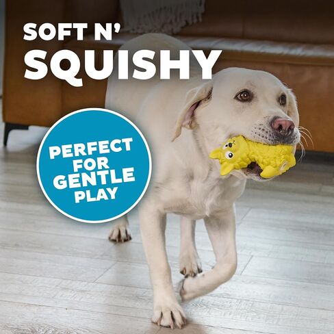Outward Hound Latex-Free Big Squeak Hedgehog Dog Toy in Kuwait