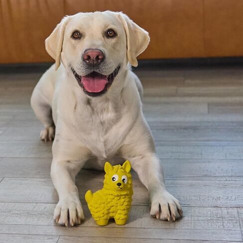 Outward Hound Latex-Free Big Squeak Hedgehog Dog Toy in Kuwait